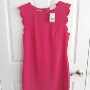 Everly Bright Pink Scalloped Dress